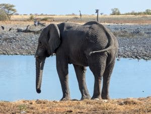 Zauberhaftes Namibia – Ein persönlicher Reisebericht zum Jubiläumsjahr